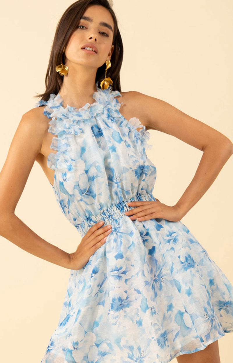 Nala Organza Floral Trim Dress