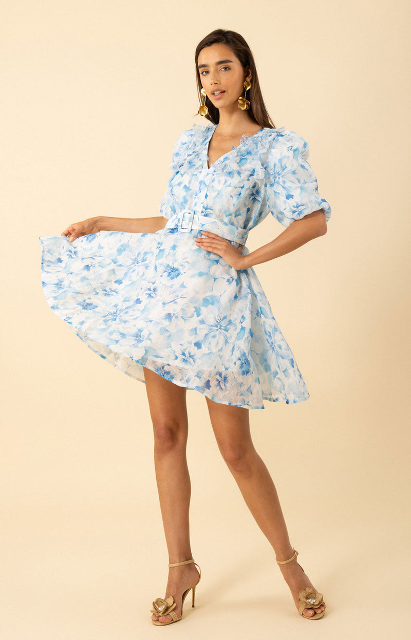 Promise Floral Trim Organza Dress