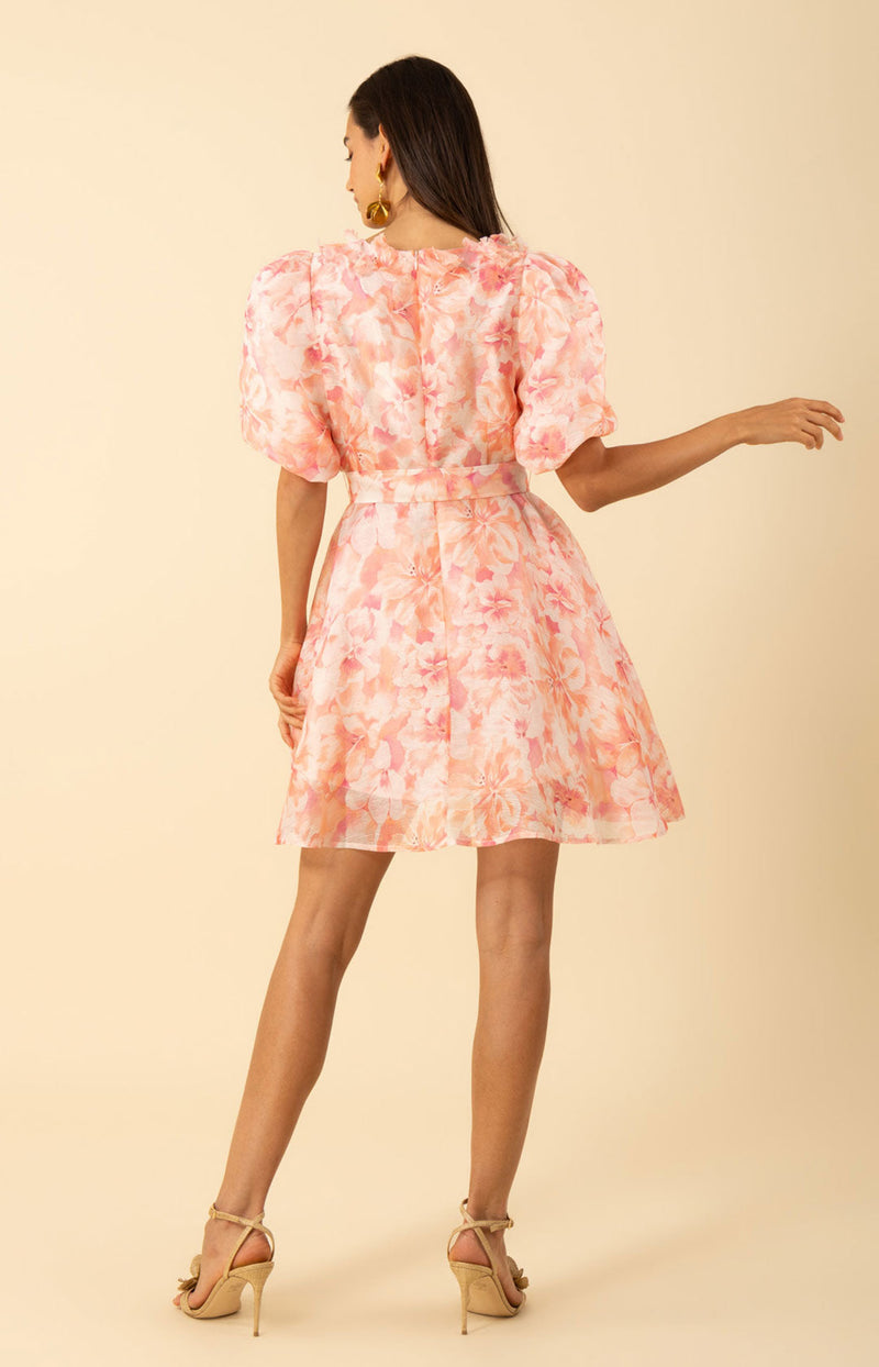 Promise Floral Trim Organza Dress