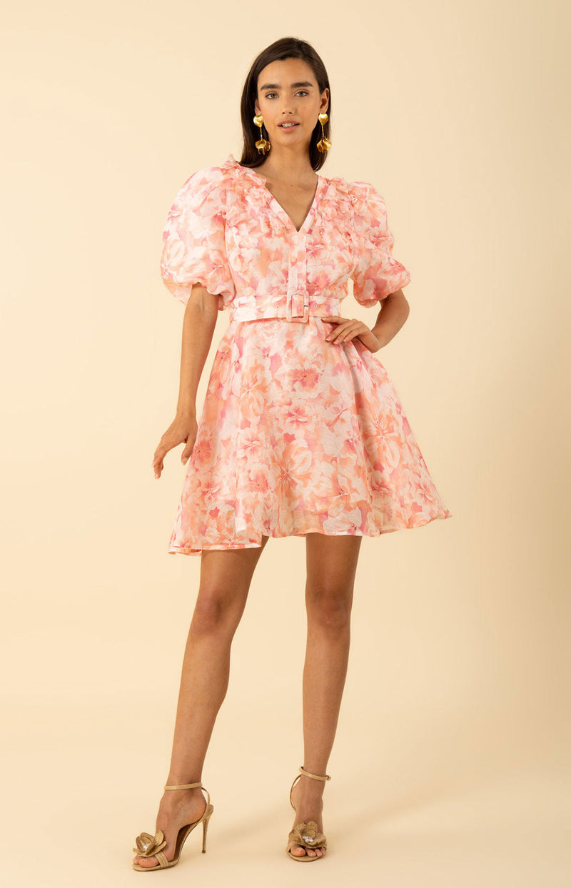 Promise Floral Trim Organza Dress