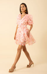 Promise Floral Trim Organza Dress